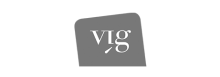 Vig
